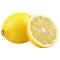Manufacture Chinese Wholesale Fresh Citrus Fruit High Nutrition Yellow Lemon